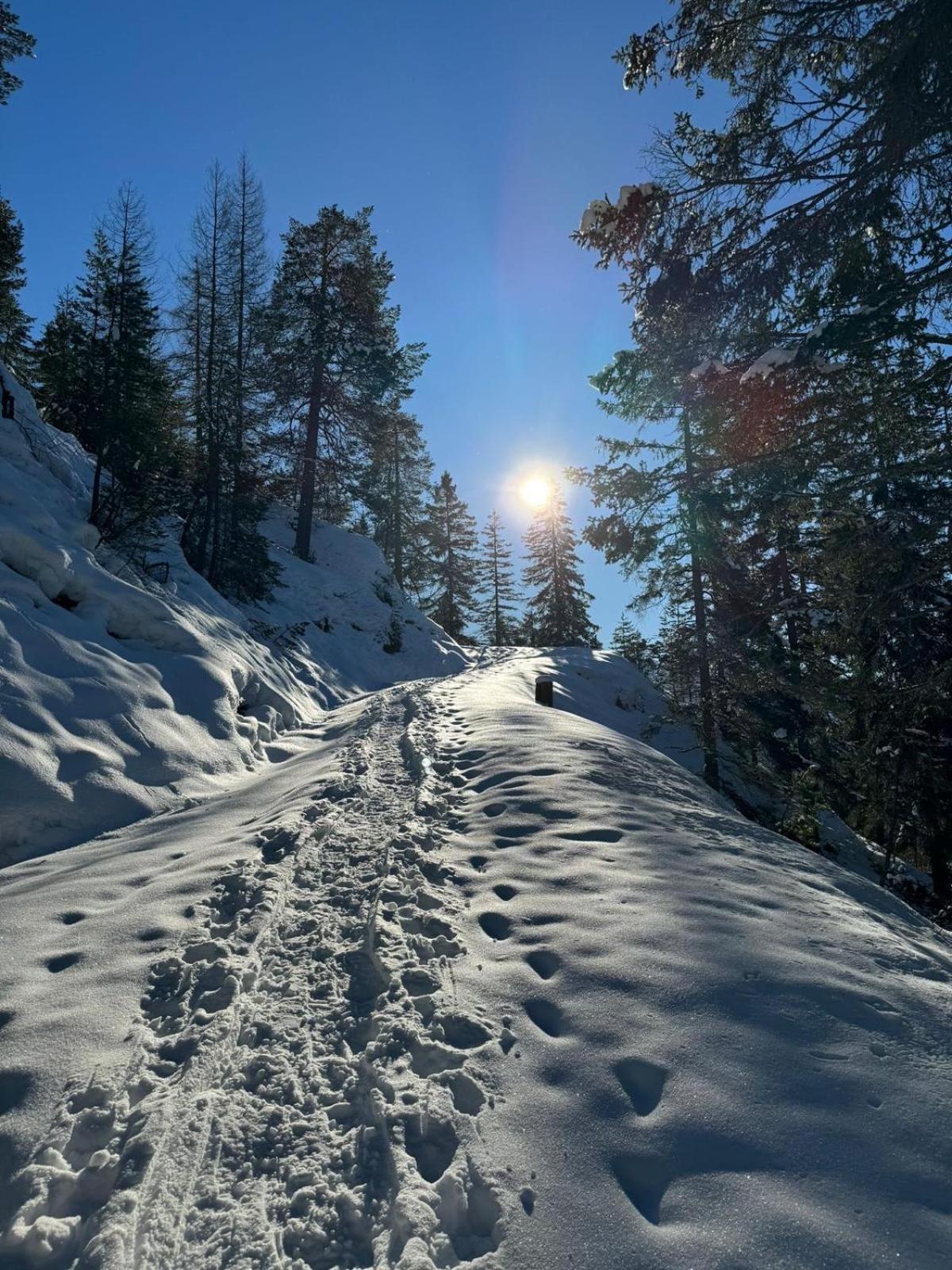 Alpenlandhaus Menardi Seefeld in Tirol Buitenkant foto