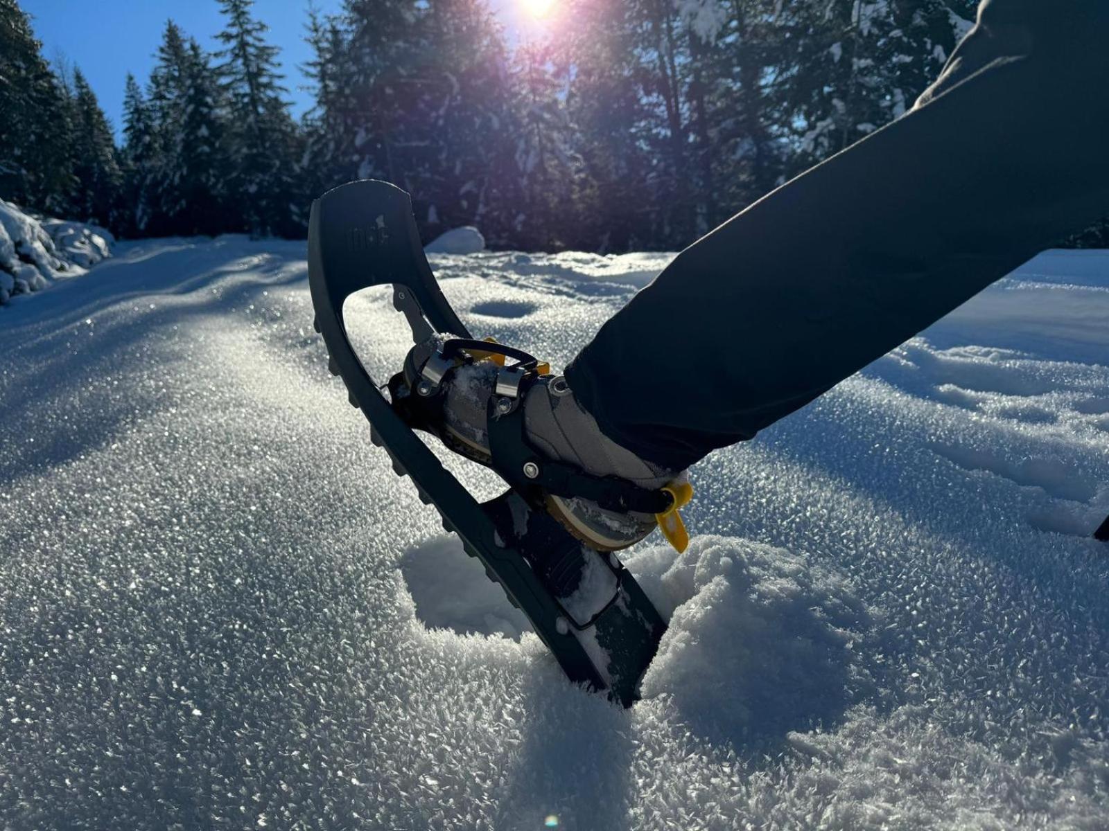 Alpenlandhaus Menardi Seefeld in Tirol Buitenkant foto